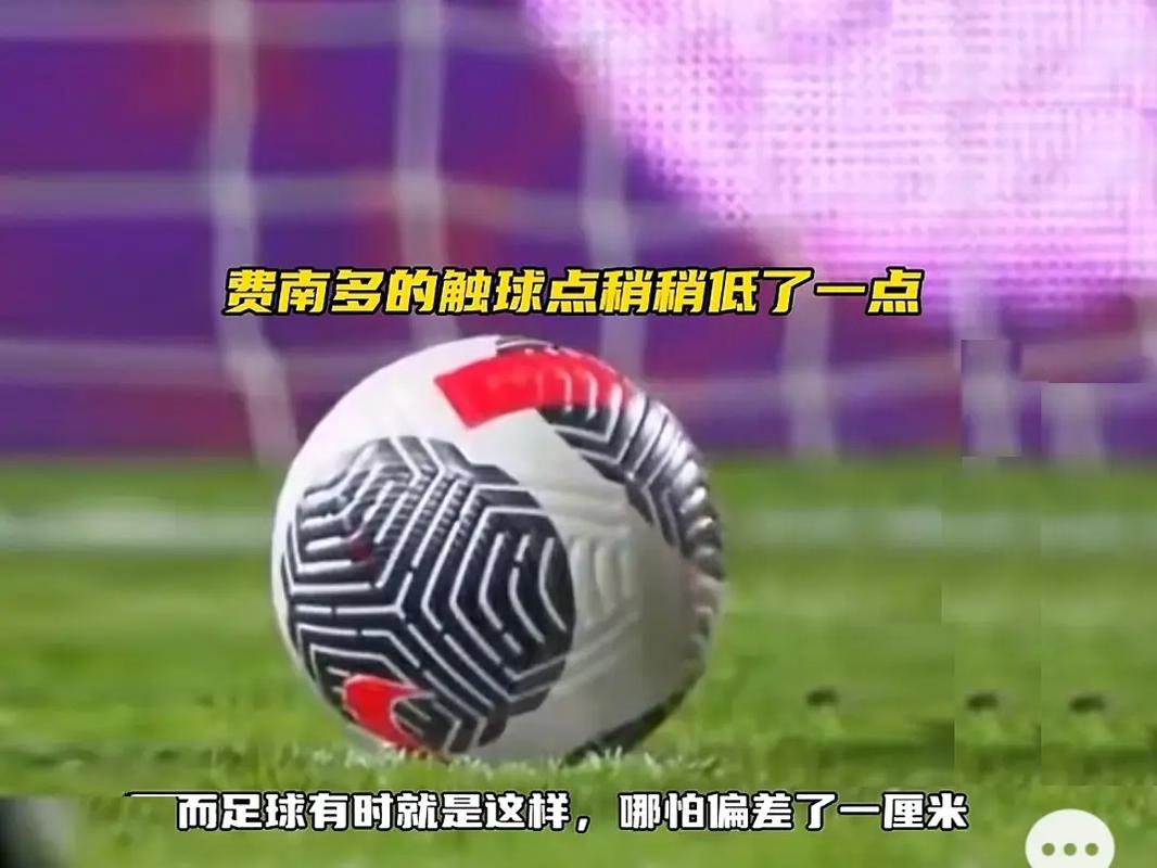 家的研究